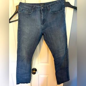 Banana Republic Traveler Jeans